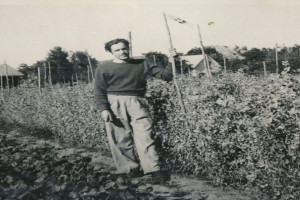 Bilde av Strand Gartneri